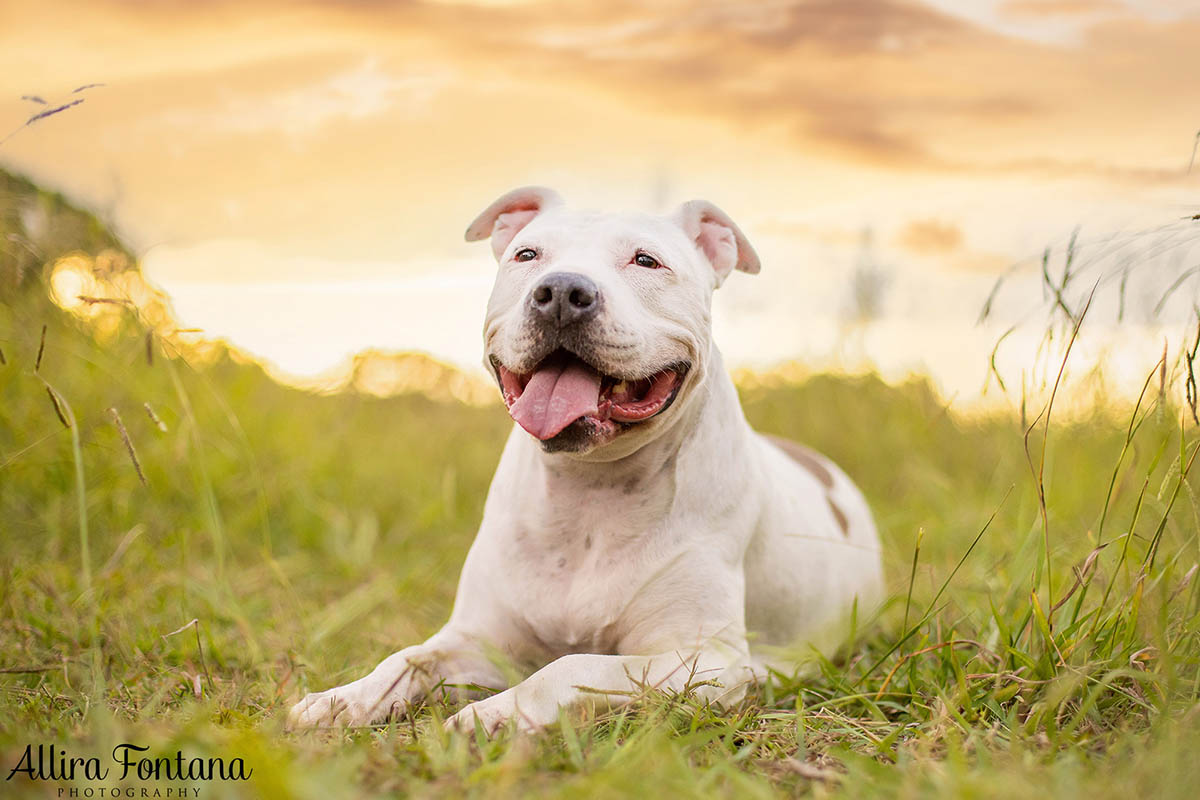 Ella's photo session at Rouse Hill Regional Park 