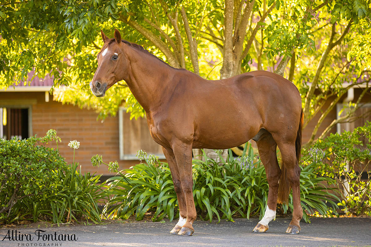 Jayne and Quinto's photo session in Arcadia 