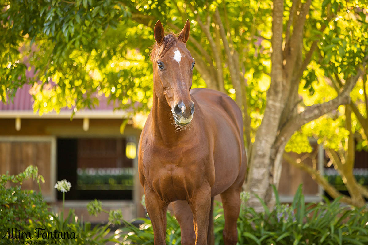 Jayne and Quinto's photo session in Arcadia 