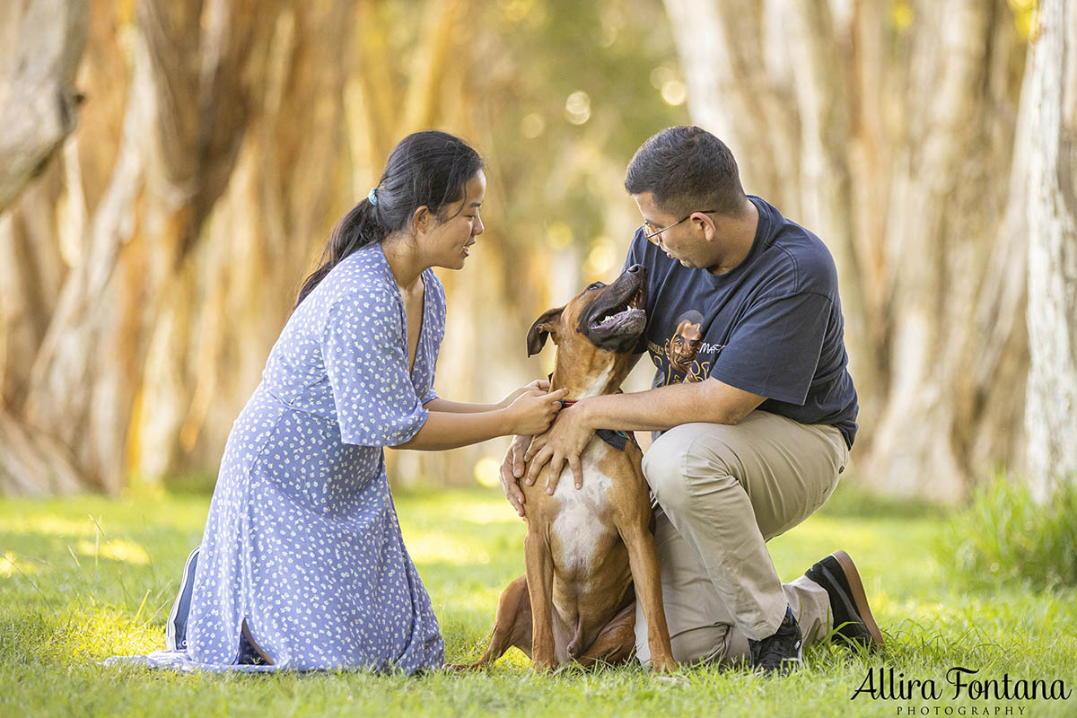 Dobby's photo session at Centennial Park