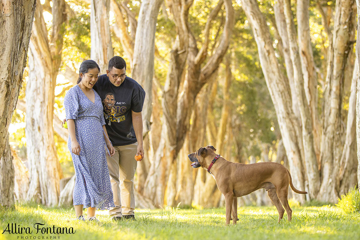 Dobby's photo session at Centennial Park