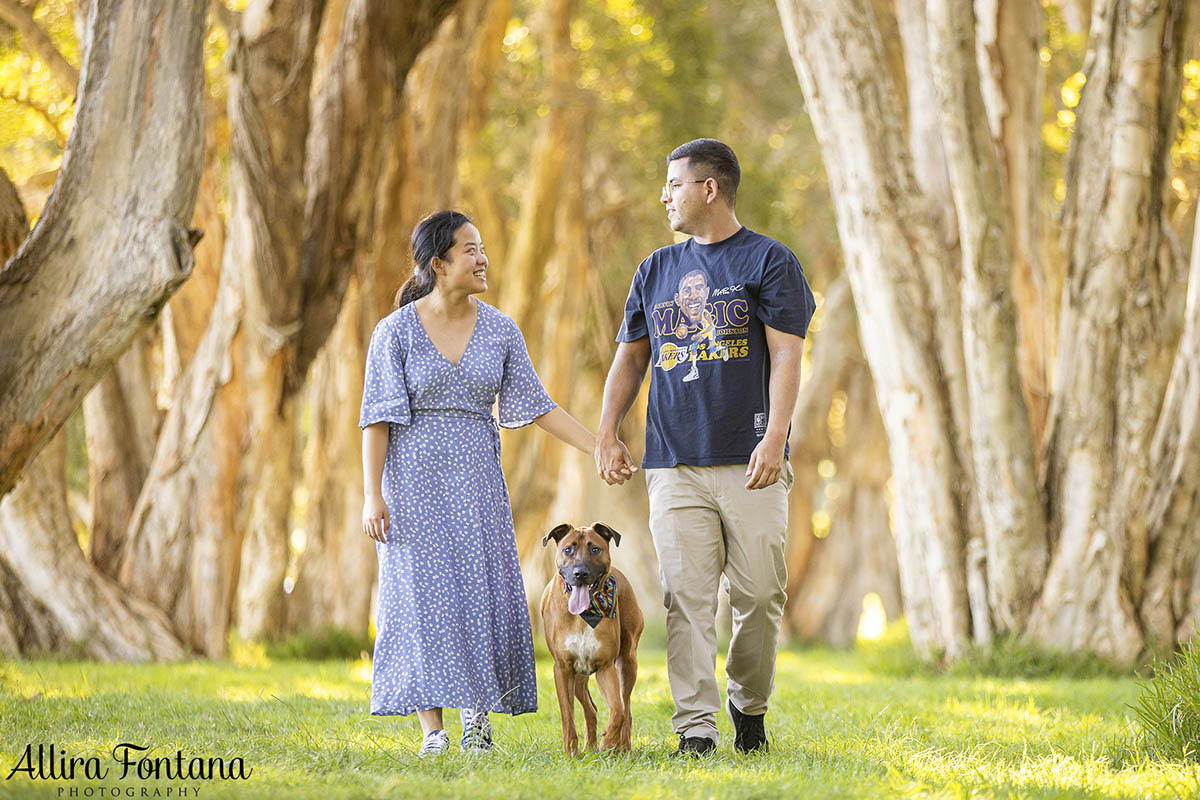 Dobby's photo session at Centennial Park 