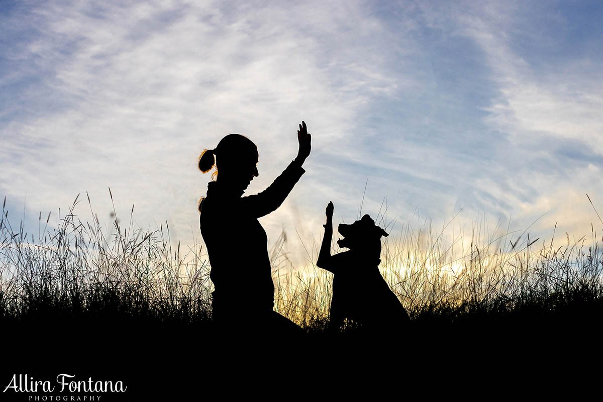 Pippa's photo session at Rouse Hill Regional Park