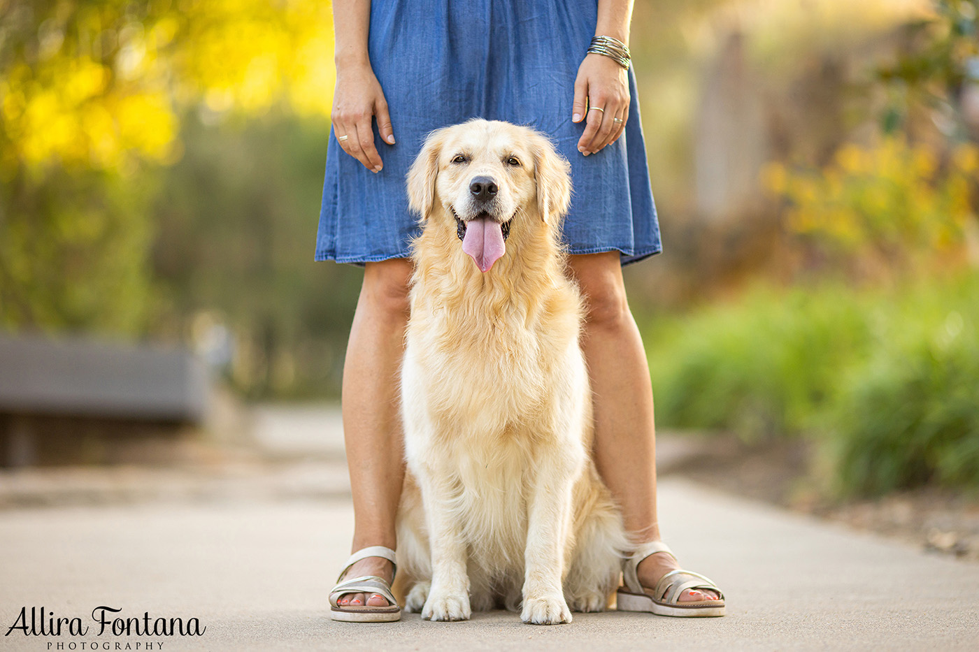 Charlie's photo session at Ballast Point Park