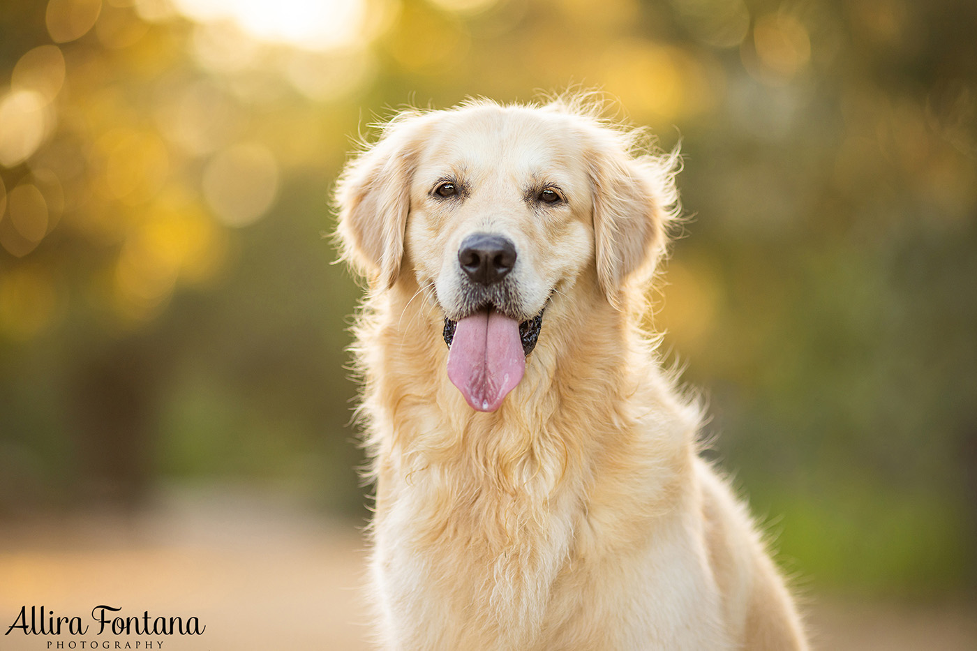 Charlie's photo session at Ballast Point Park