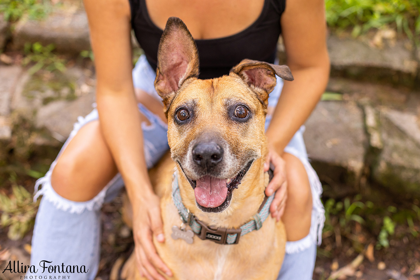 Diesel and Sacha's photo session at Castle Hill Heritage Park 