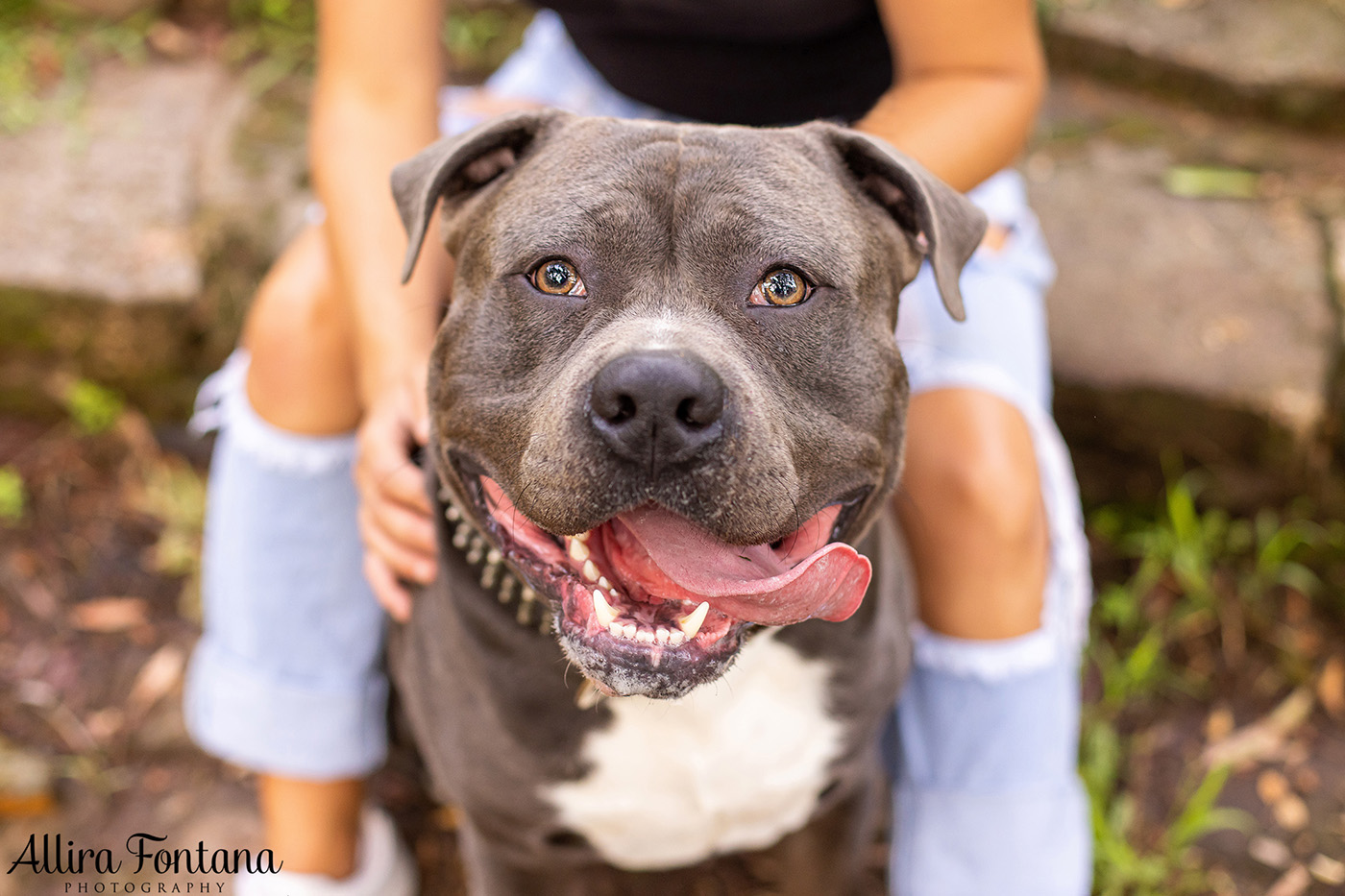 Diesel and Sacha's photo session at Castle Hill Heritage Park 