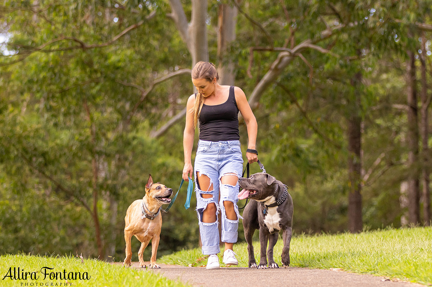 Diesel and Sacha's photo session at Castle Hill Heritage Park 