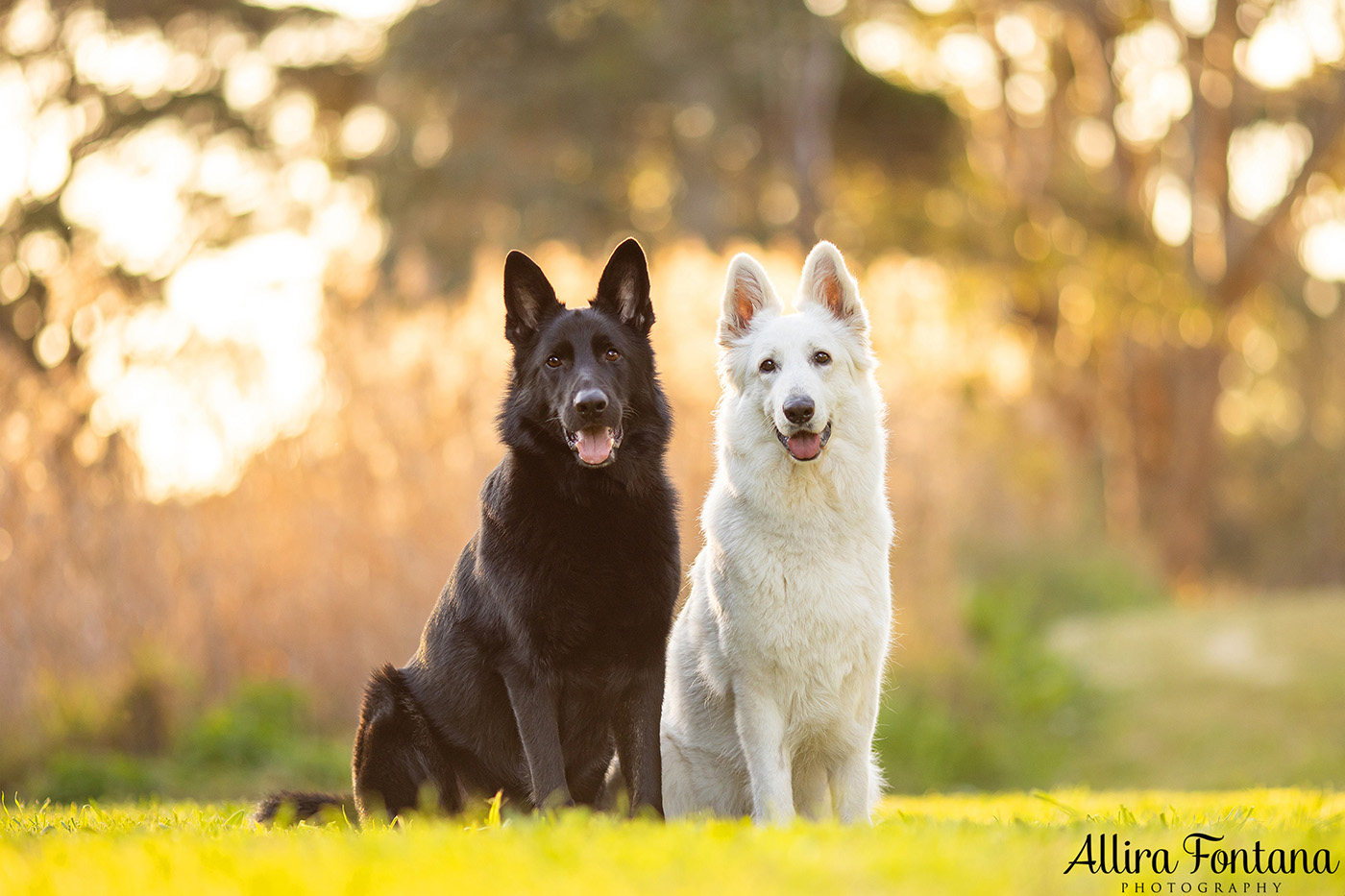 Junem, Eshke and Azizam's photo session at Strangers Creek 