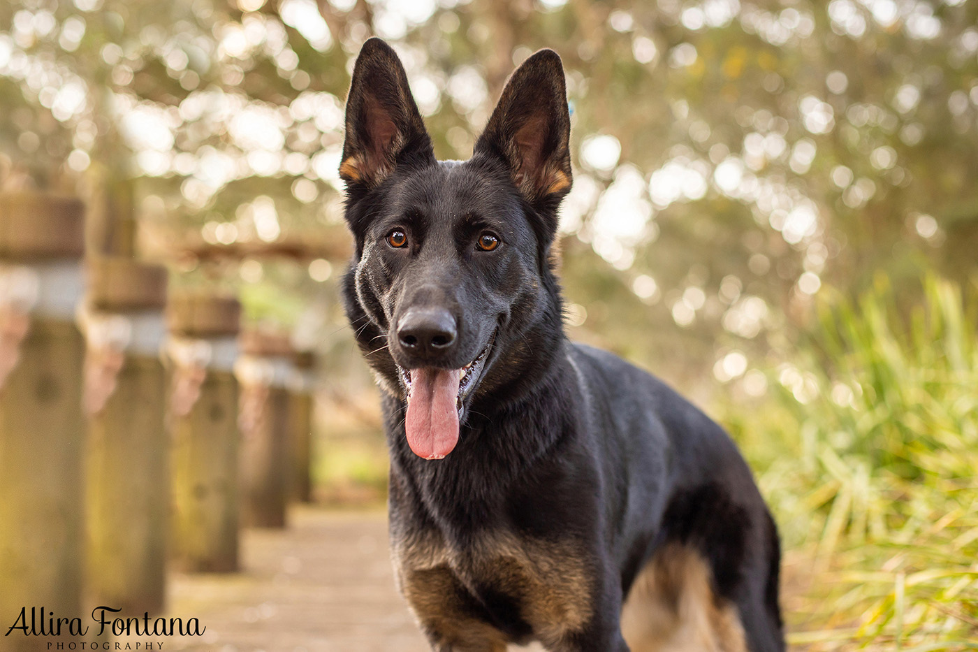 Junem, Eshke and Azizam's photo session at Strangers Creek 