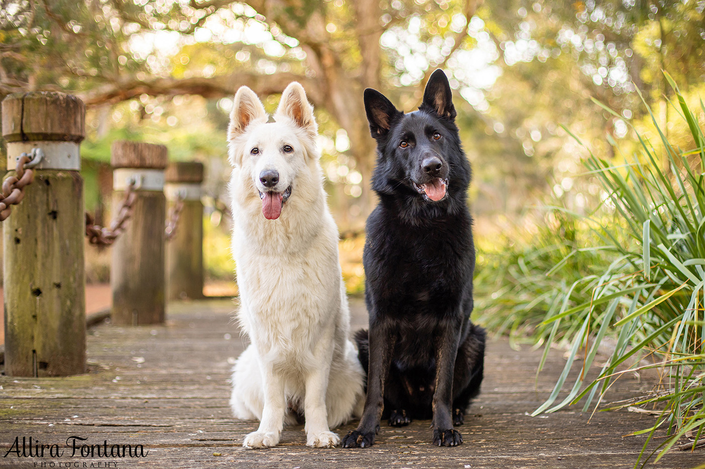 Junem, Eshke and Azizam's photo session at Strangers Creek 