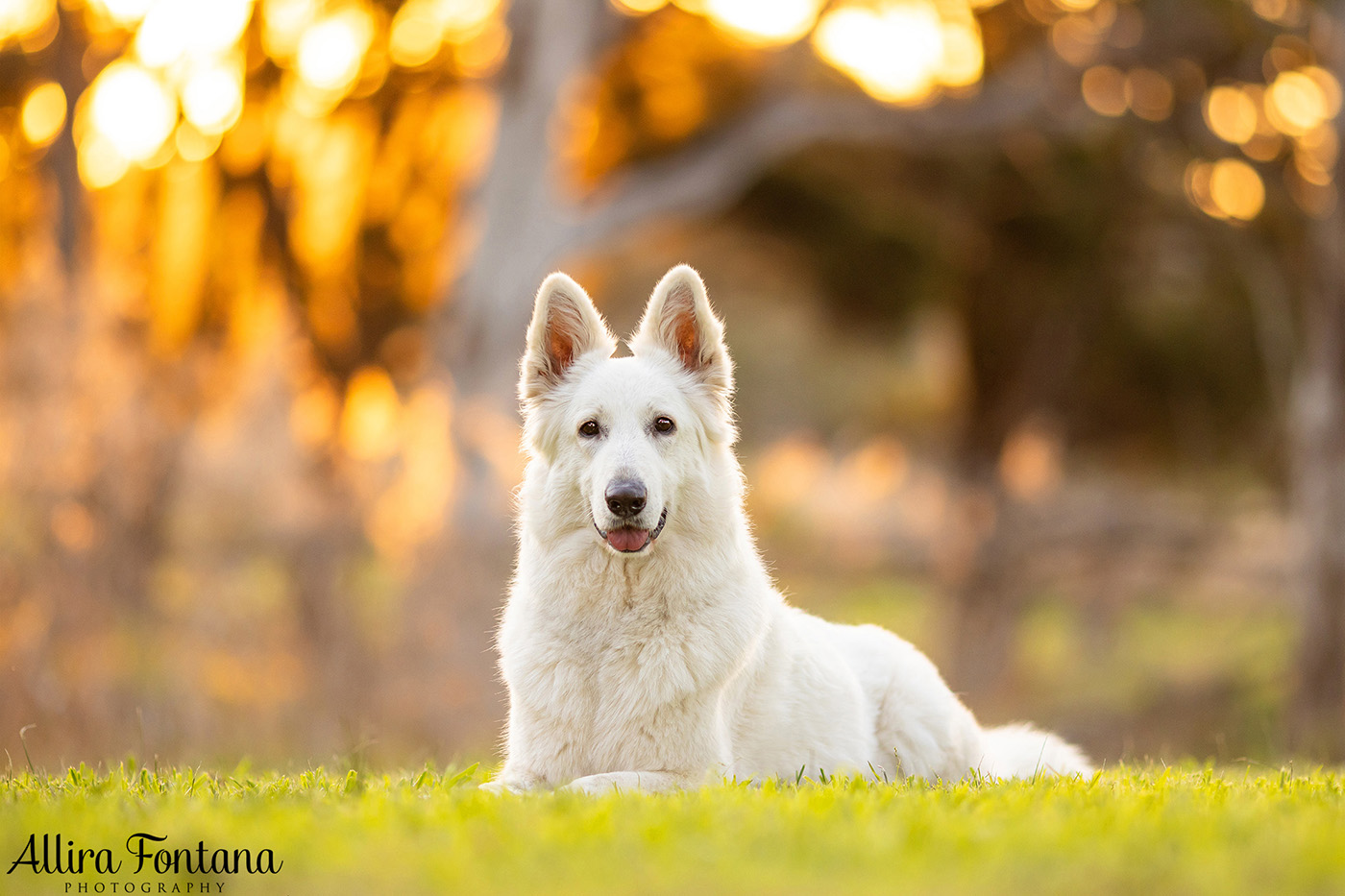 Junem, Eshke and Azizam's photo session at Strangers Creek 