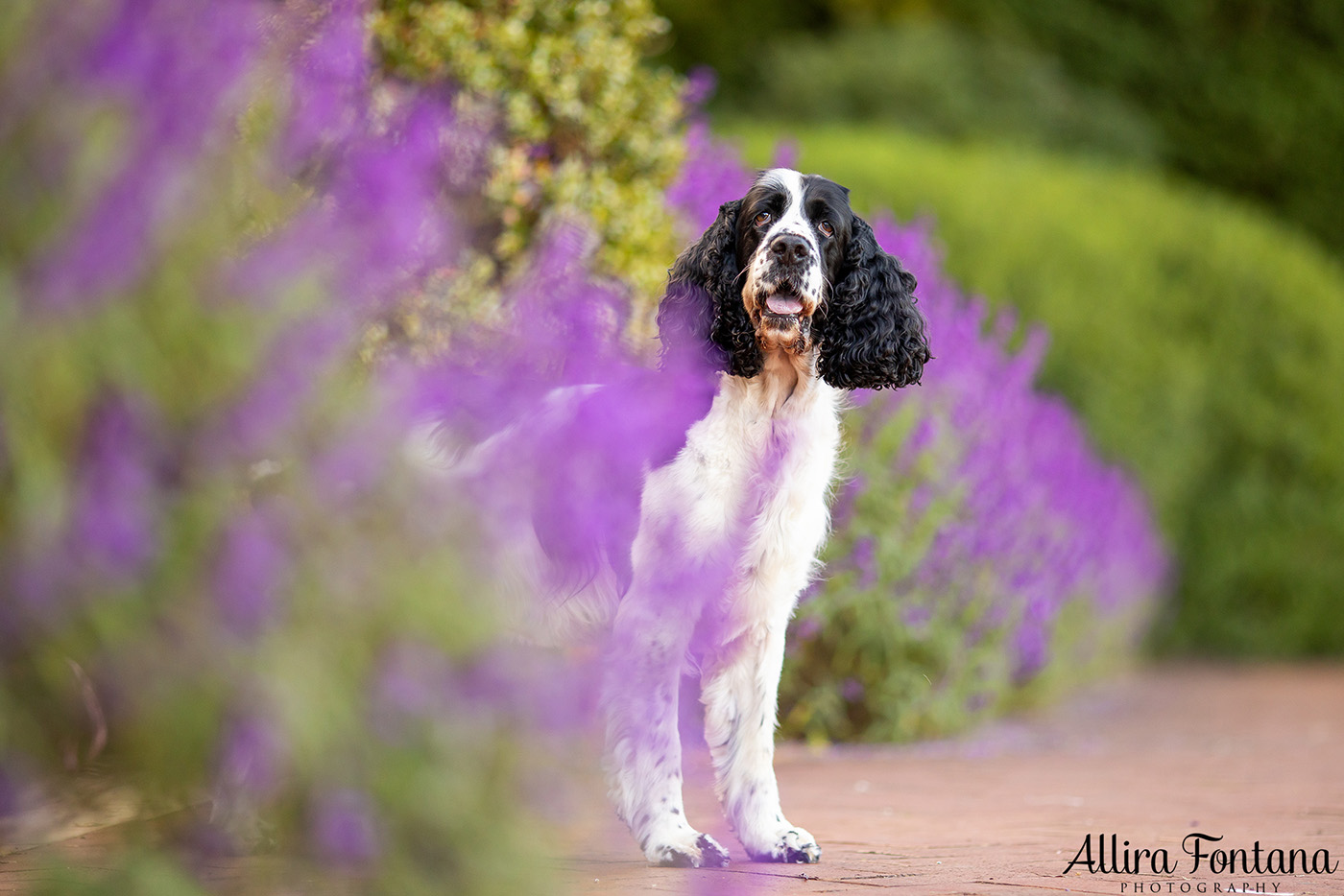 Amy and Jemma's photo session at Fagan Park 