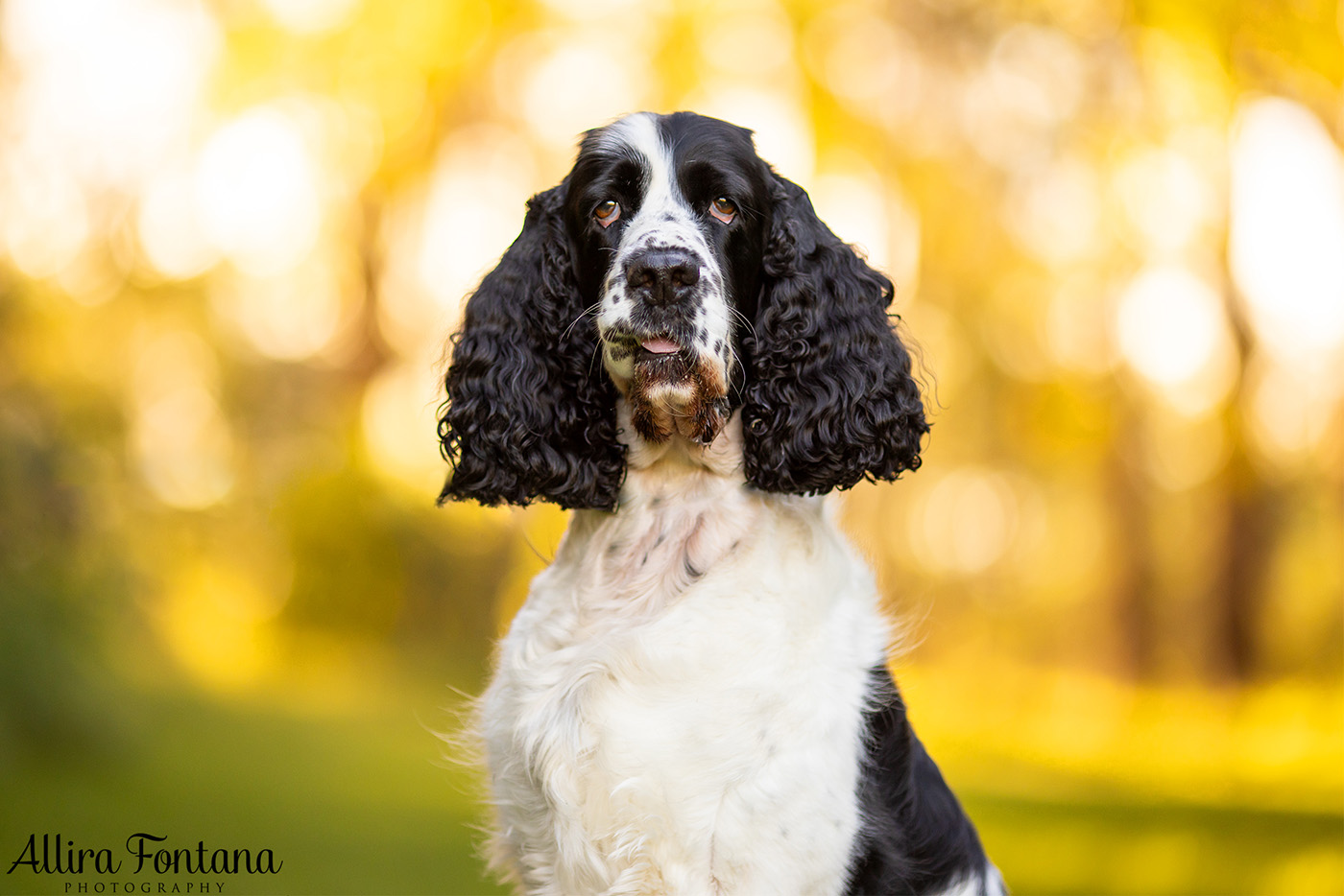 Amy and Jemma's photo session at Fagan Park 