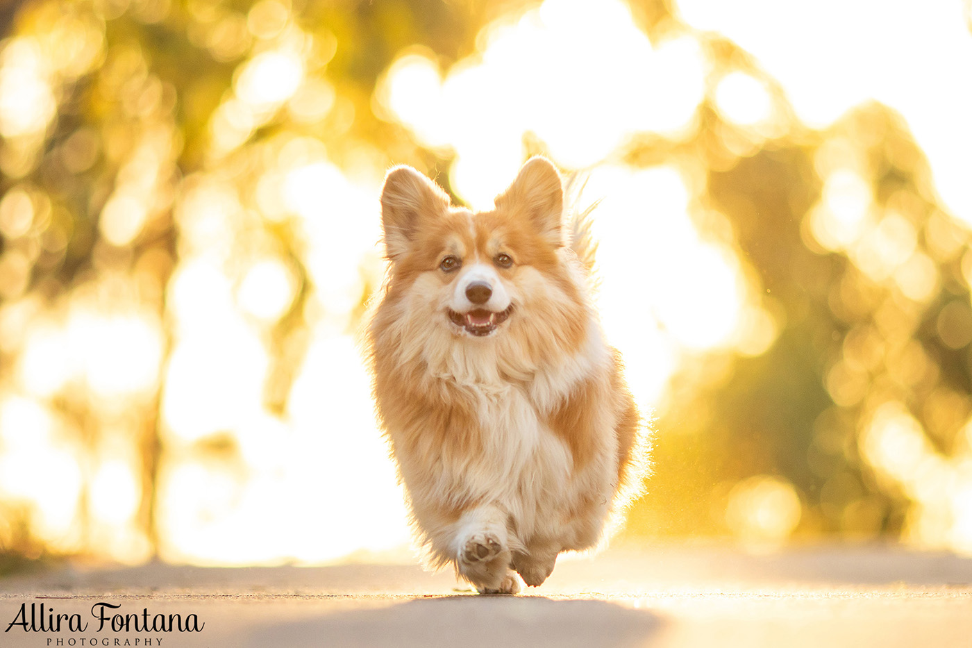 Lizzie and Zara's photo session at Lakes Edge Park