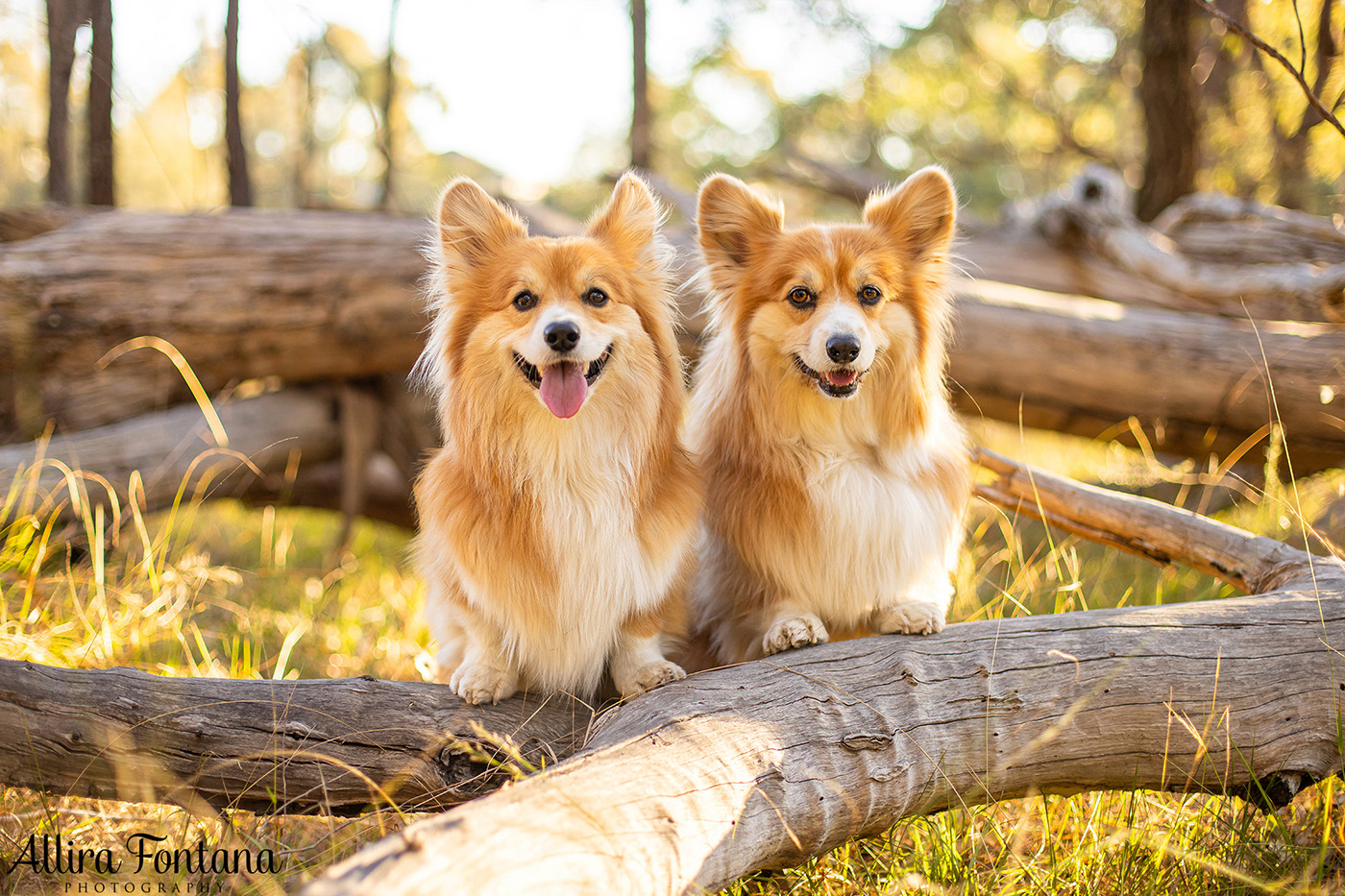 Lizzie and Zara's photo session at Lakes Edge Park