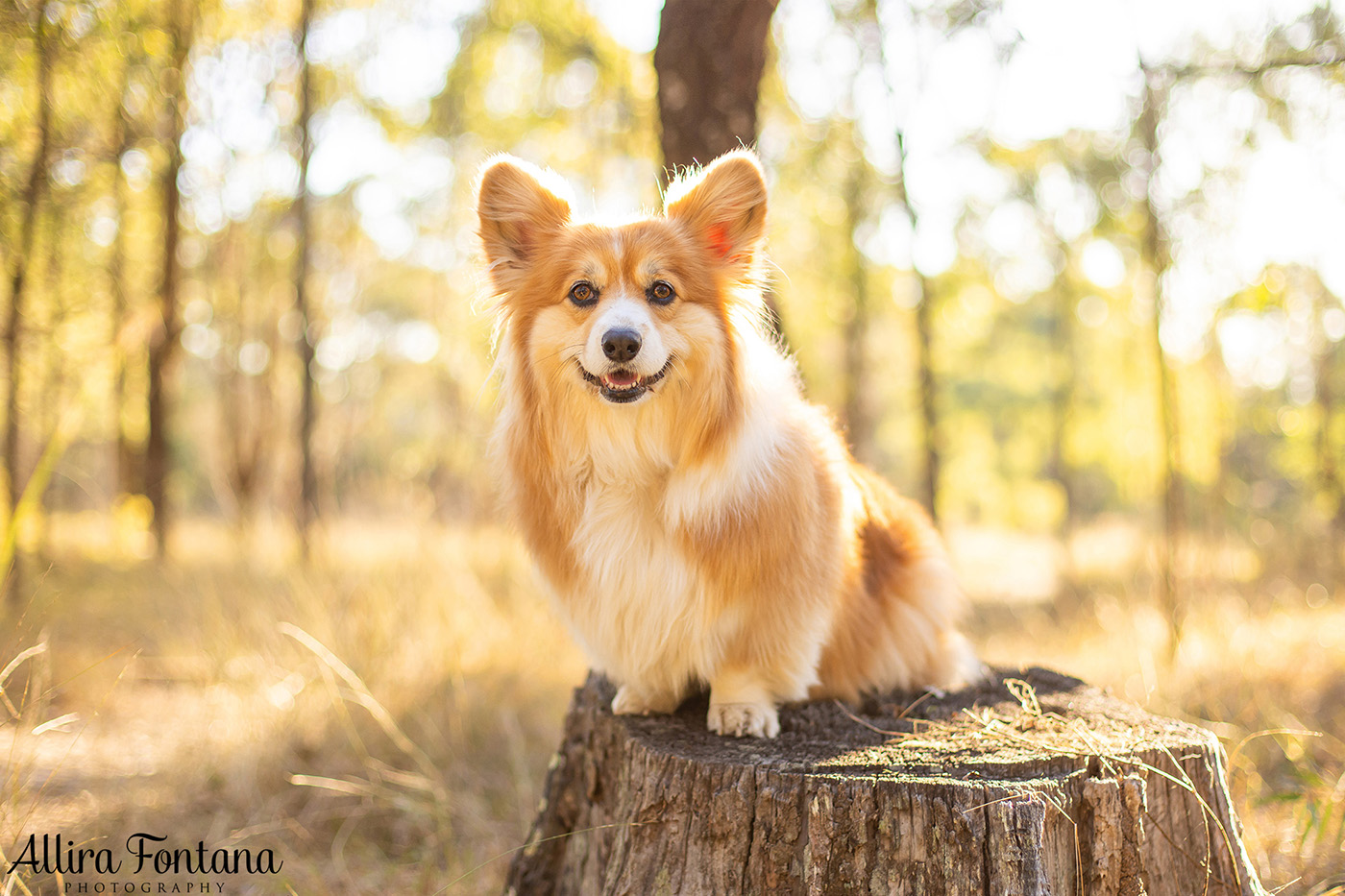 Lizzie and Zara's photo session at Lakes Edge Park