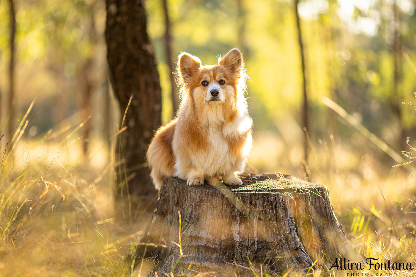 Lizzie and Zara's photo session at Lakes Edge Park