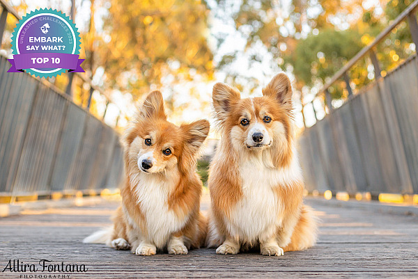 Lizzie and Zara's photo session at Lakes Edge Park