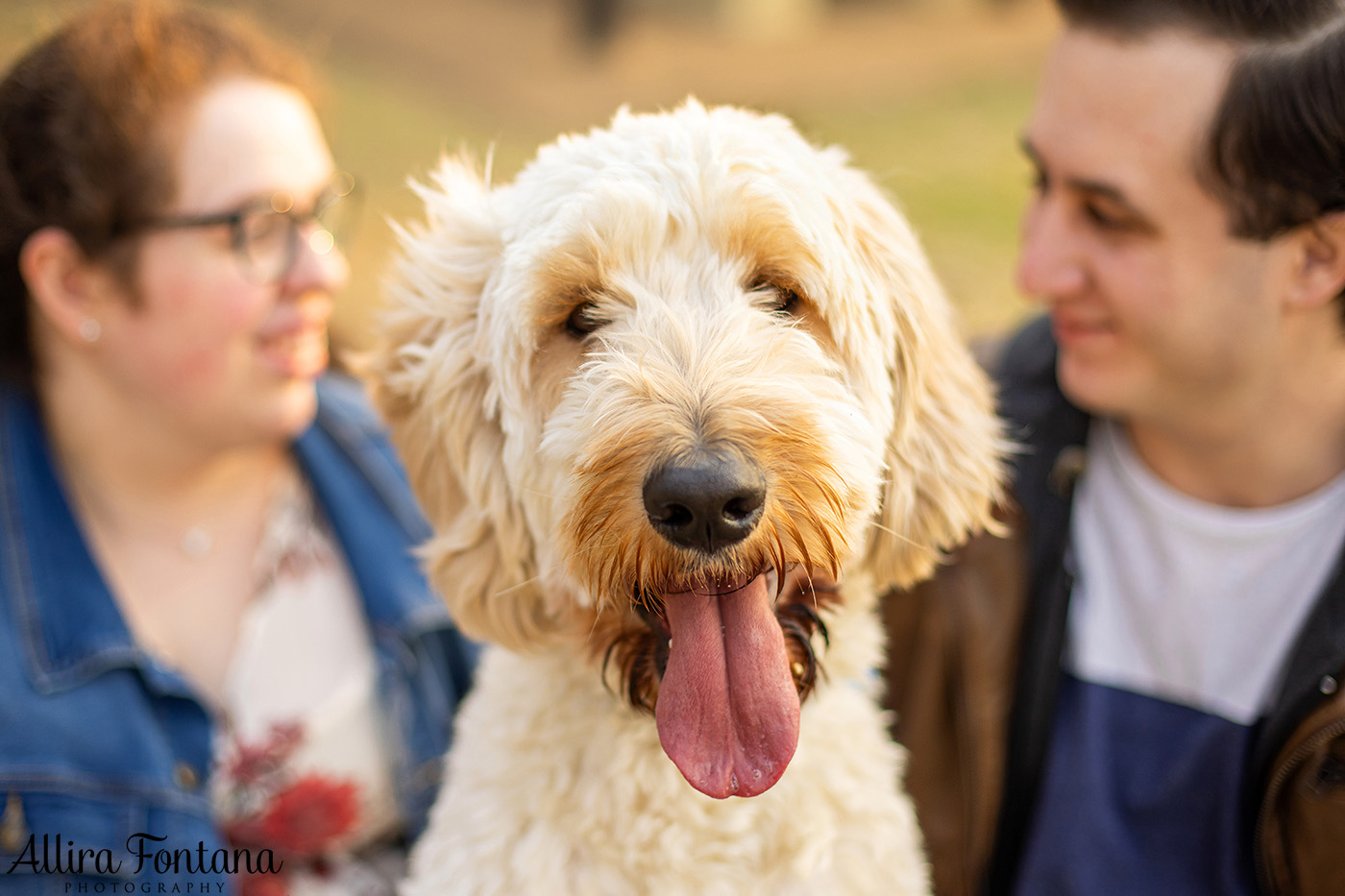 Finnigan's photo session at Rouse Hill Regional Park 