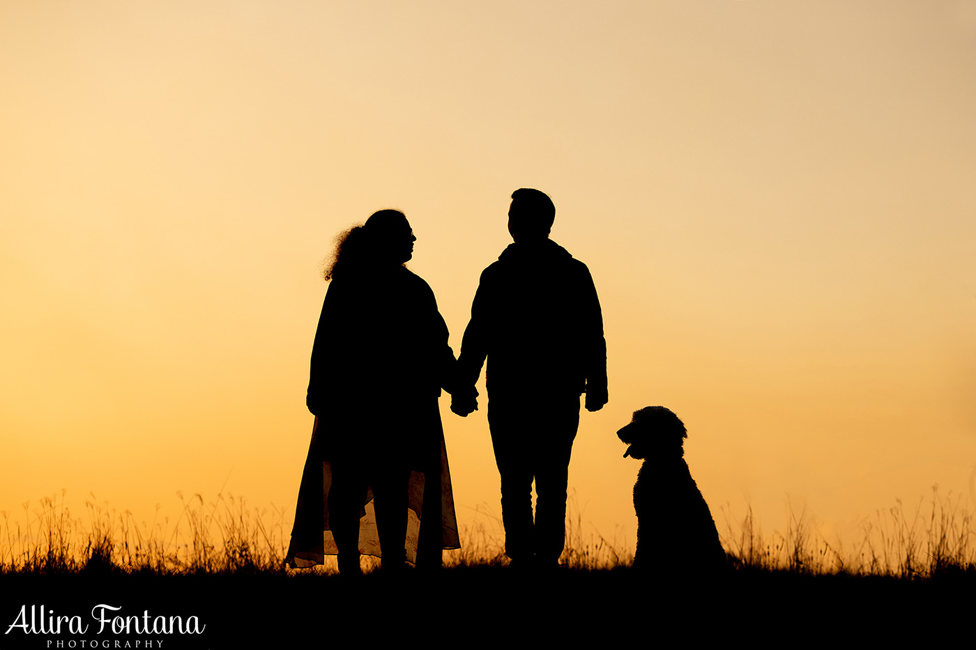 Finnigan's photo session at Rouse Hill Regional Park 