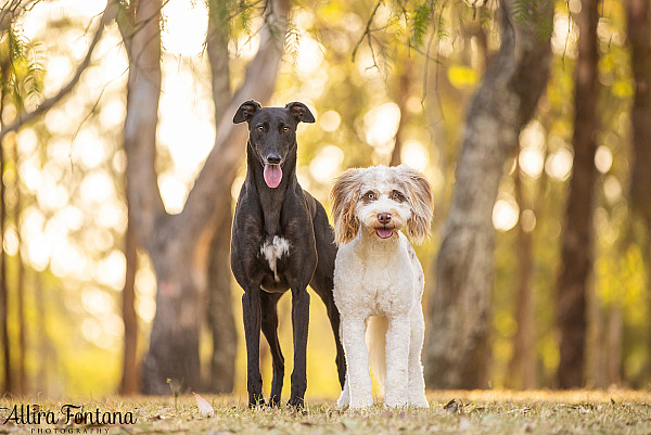 Pippa and Sadie's photo session at Rouse Hill Regional Park