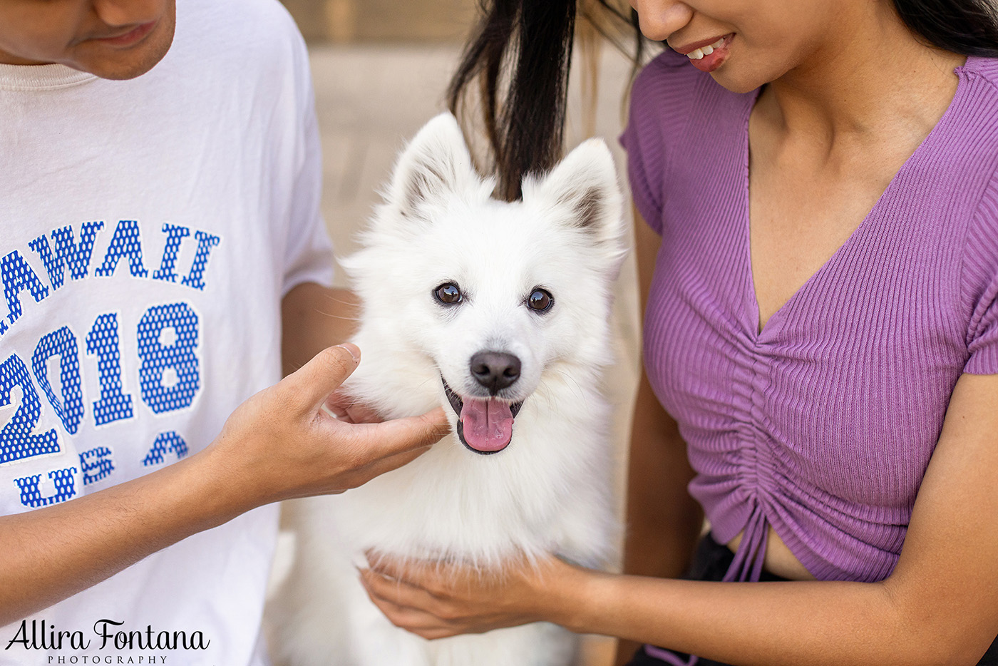 Mochi's photo session at Fagan Park 