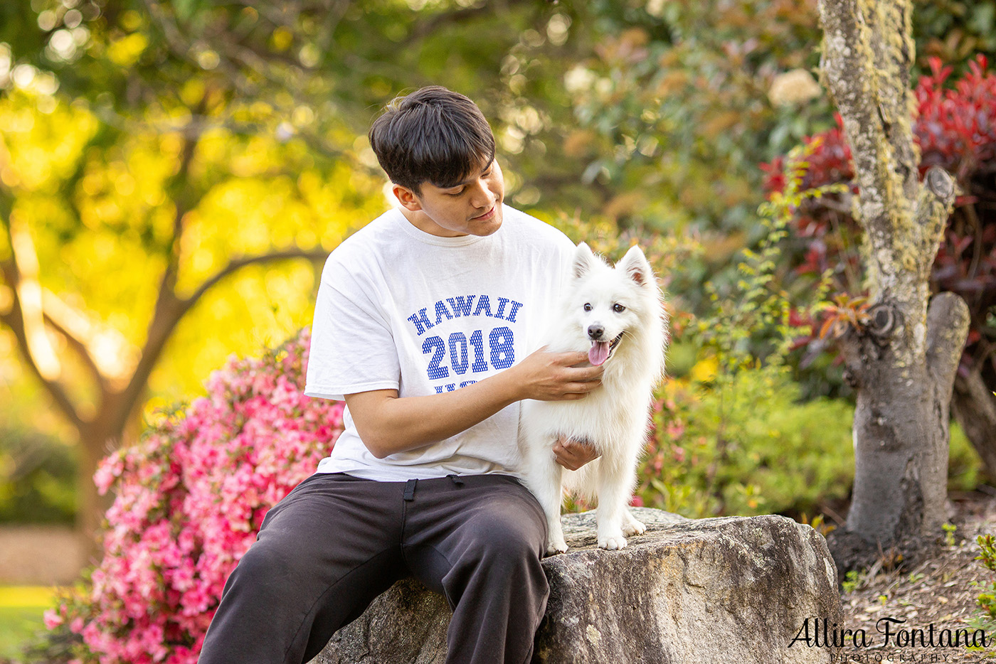 Mochi's photo session at Fagan Park 