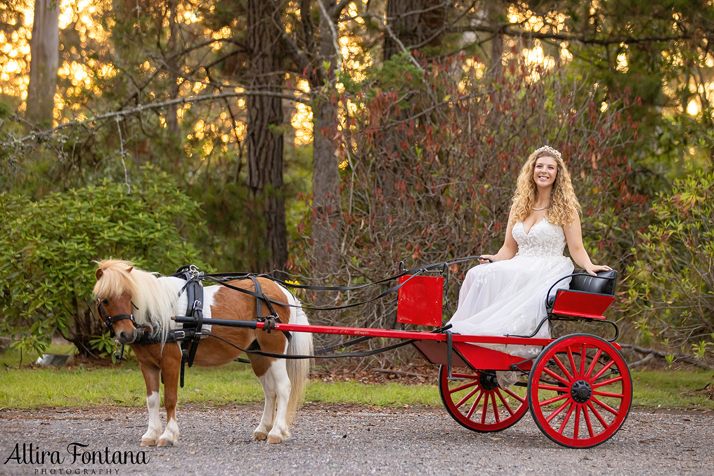 Erin's wedding photo session in Colo Vale 