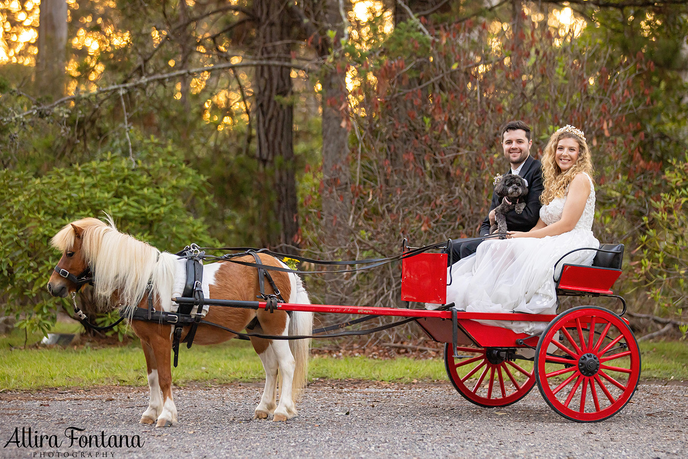 Erin's wedding photo session in Colo Vale 