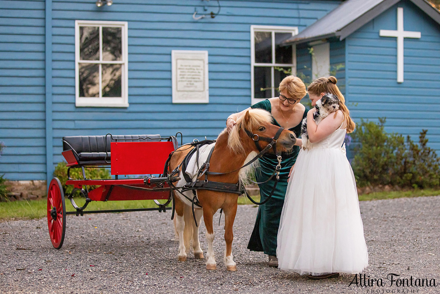 Erin's wedding photo session in Colo Vale 