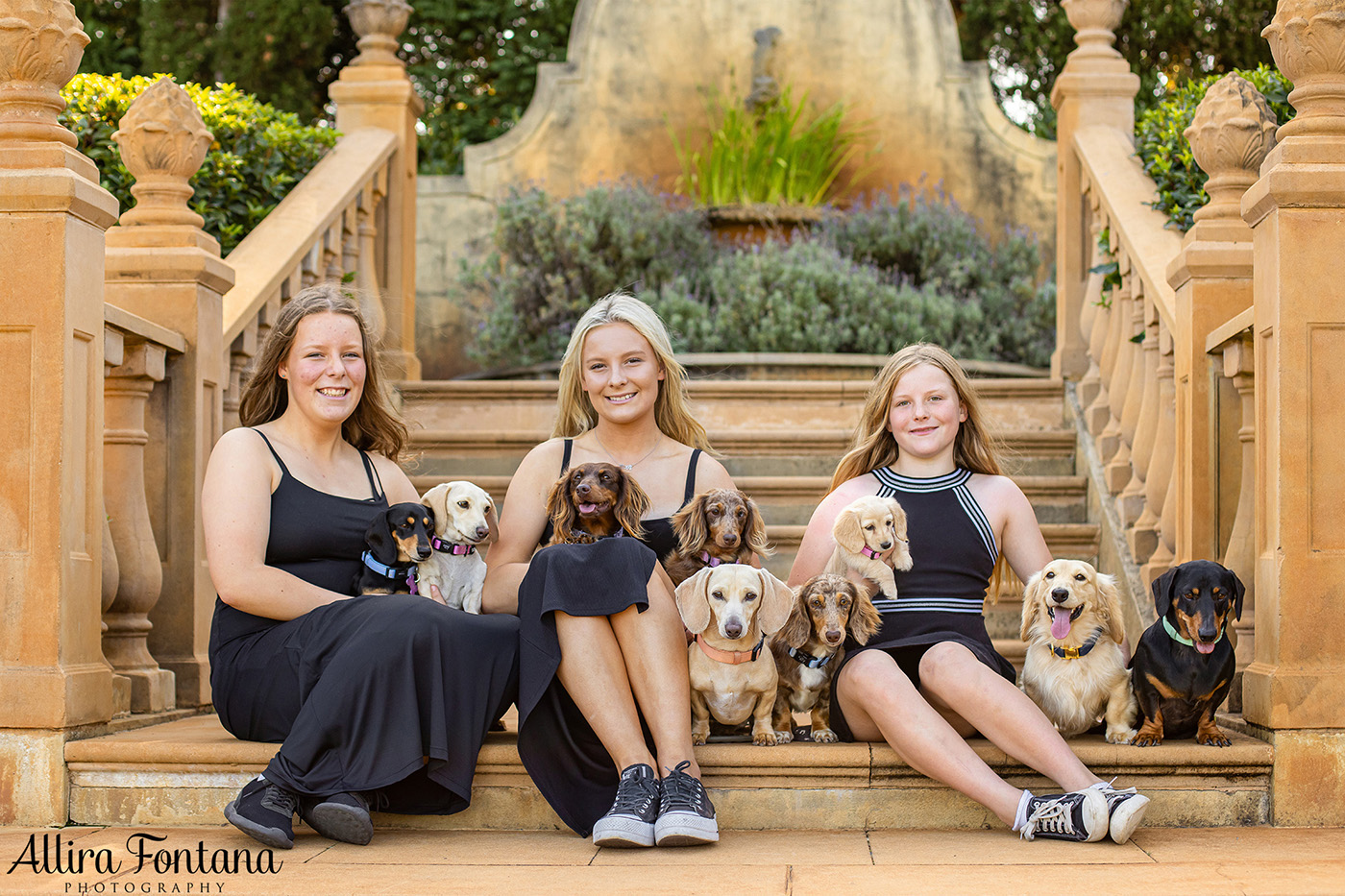 Forever Dachshund's photo session at Fagan Park 