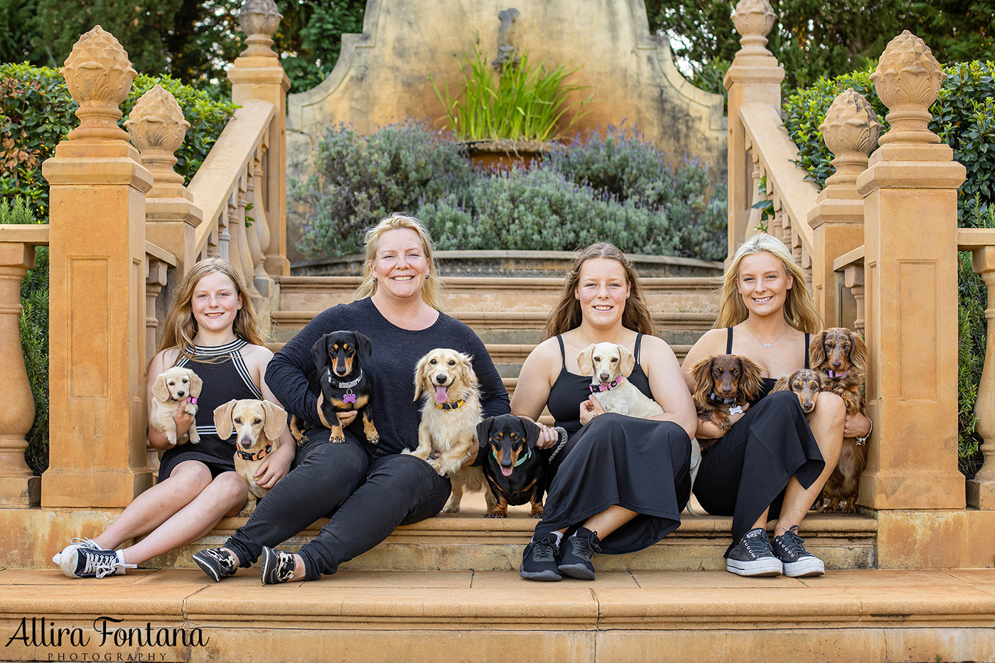 Forever Dachshund's photo session at Fagan Park 