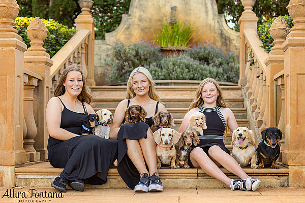 Forever Dachshund's photo session at Fagan Park