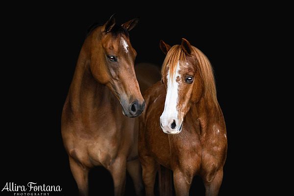 Ollie and Treasure's black background session