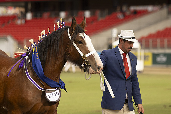 Sydney Royal Easter Show 2024