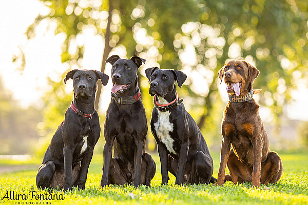 Jedda, Sam, Stevie and Kip's photo session on the river