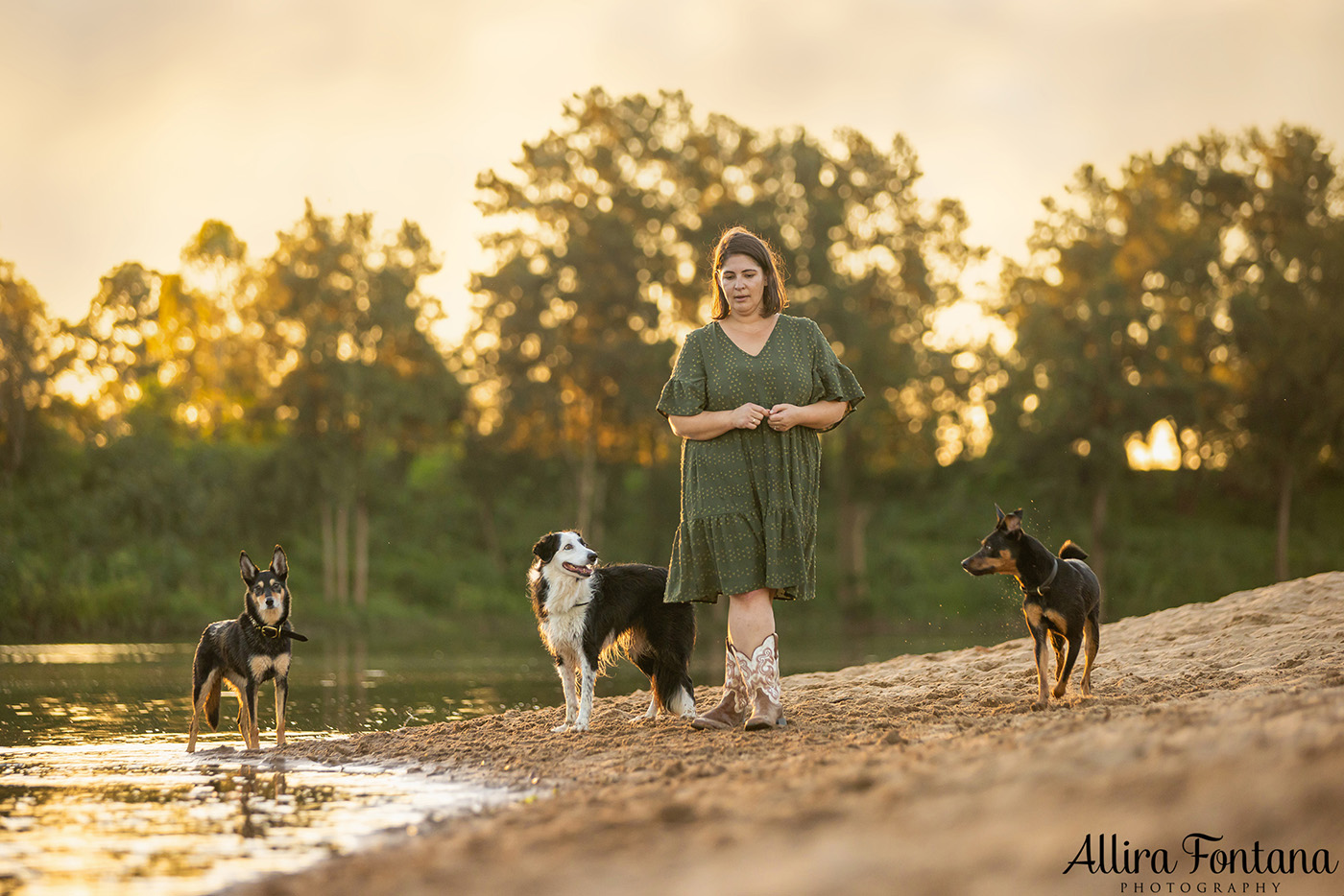 Sonic, Blondie and Sandy's photo session from Macquarie Park