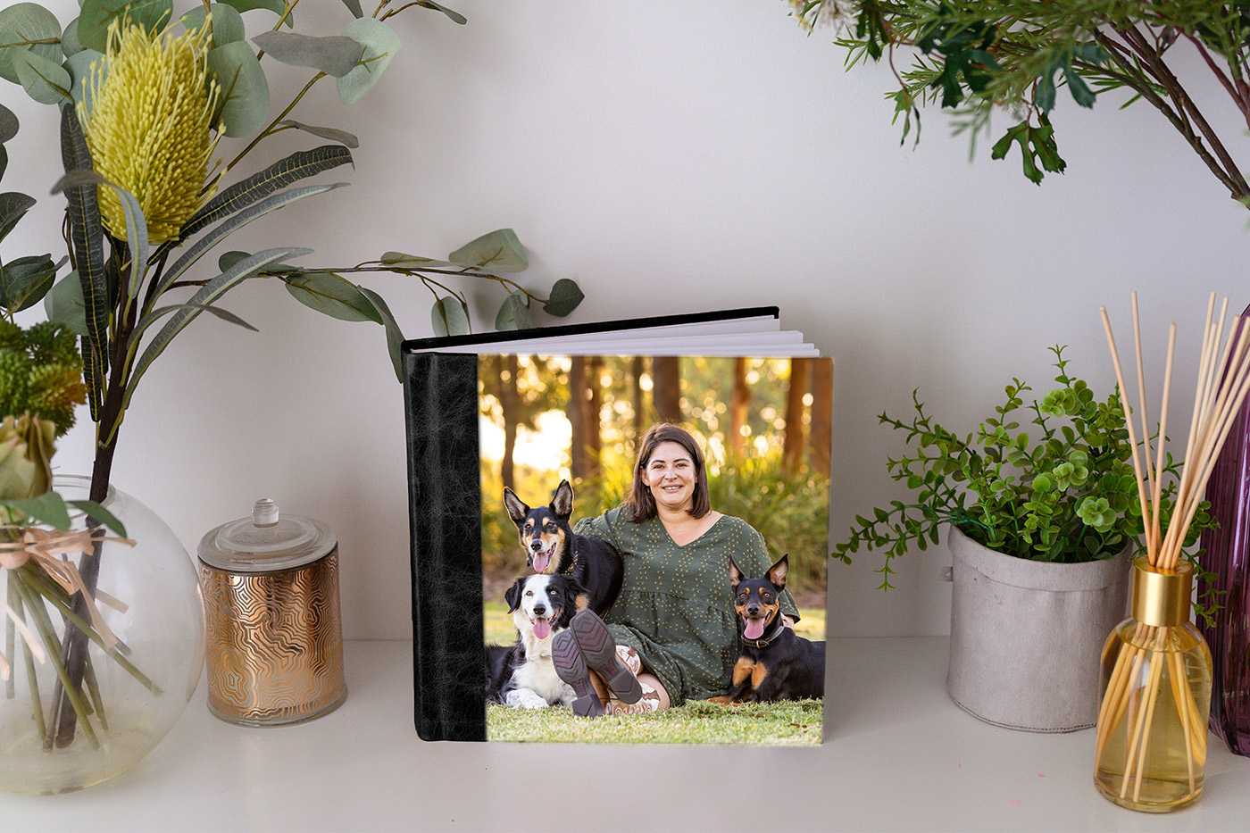 Sonic, Blondie and Sandy's photo session from Macquarie Park
