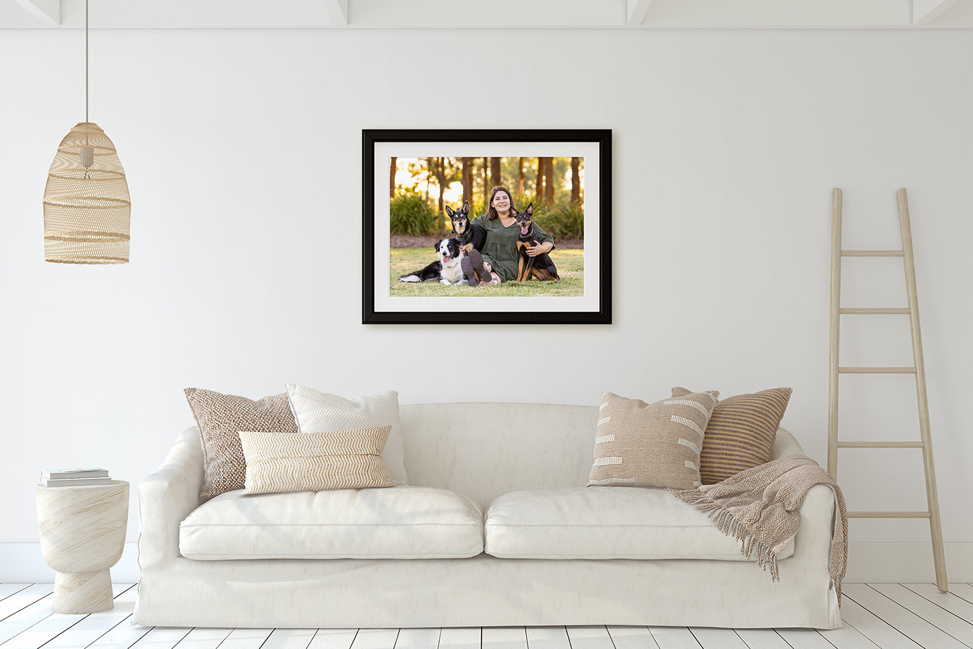 Sonic, Blondie and Sandy's photo session from Macquarie Park