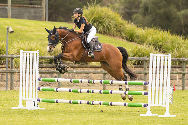 GEC Clear Round Jumping August 2024