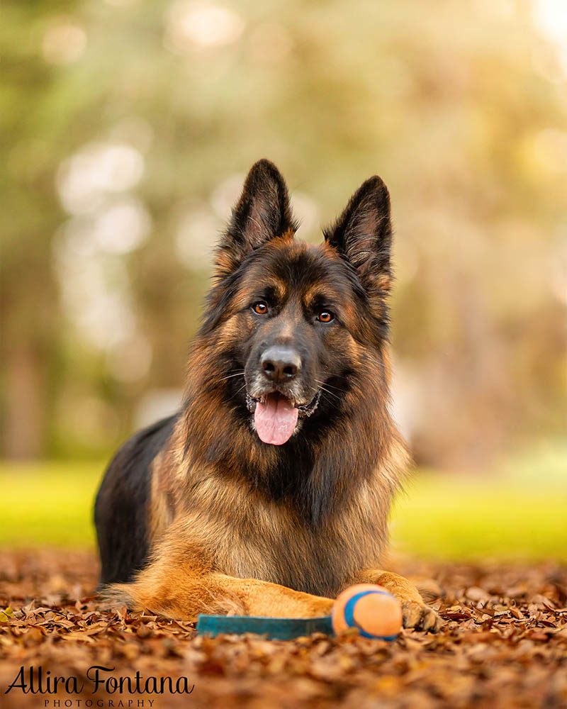 Kylo's photo session at Fagan Park
