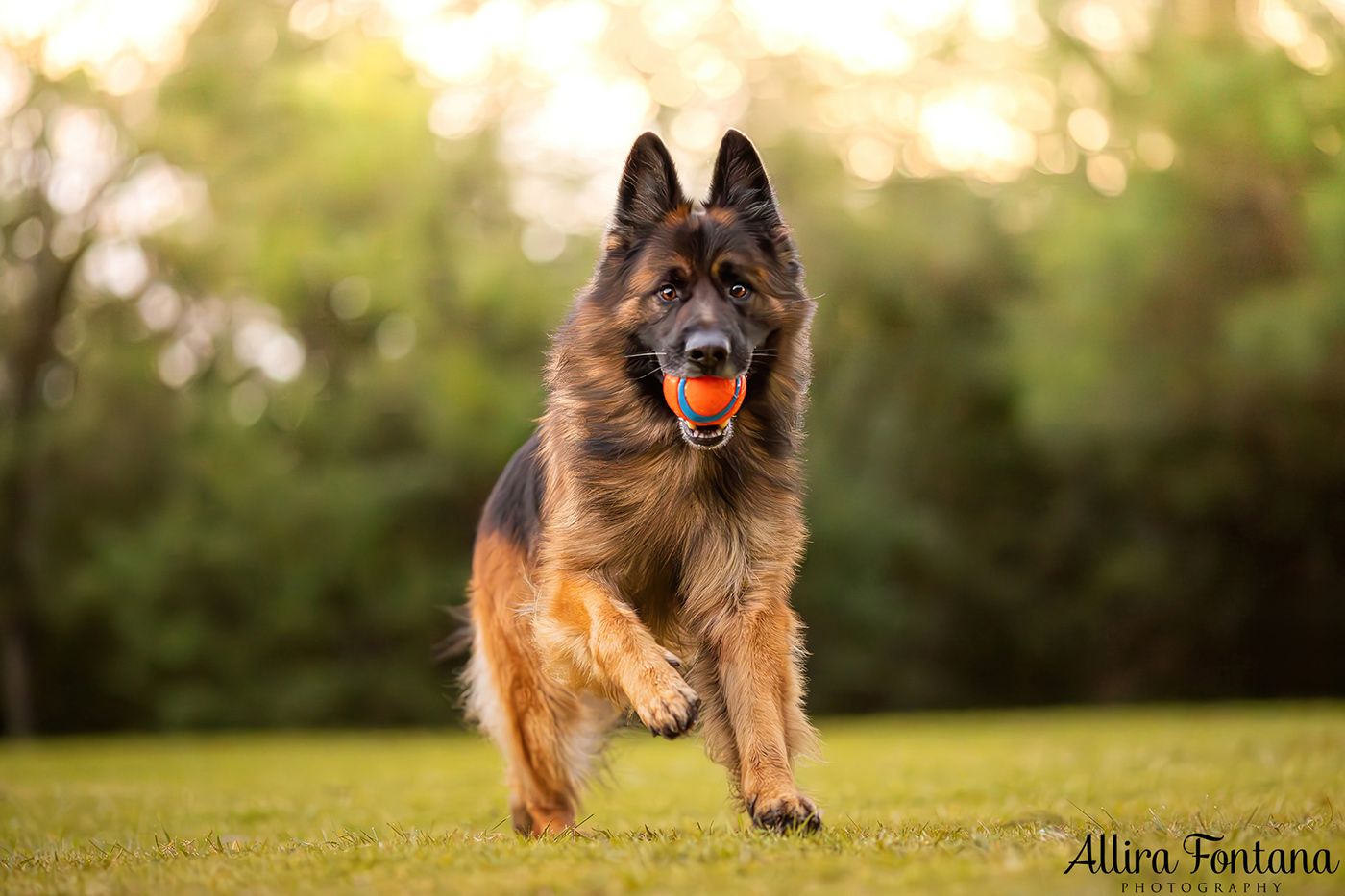 Kylo's photo session at Fagan Park