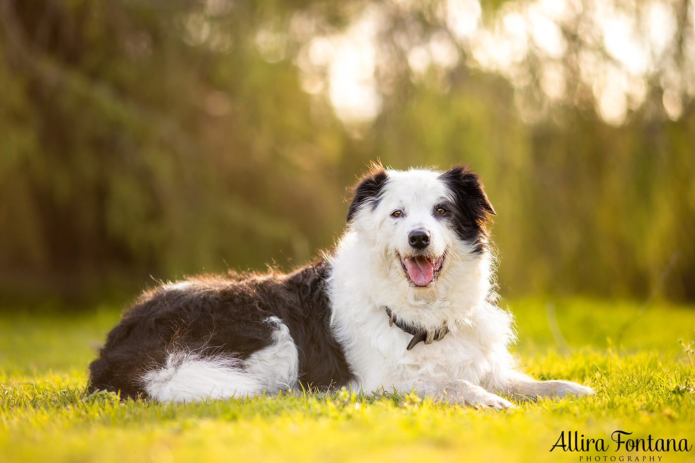 Zac, Bella and Harry's photo session at home