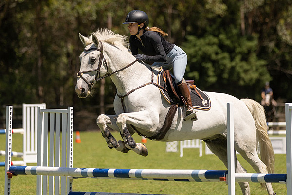 GEC Clear Round Show Jumping February 2025