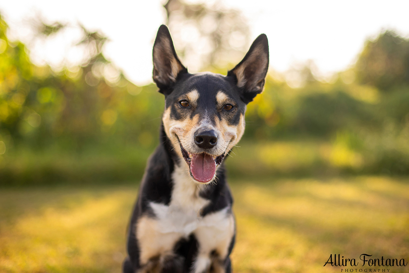 Janina, Ruby and Alfie's photo session at Macquarie Park