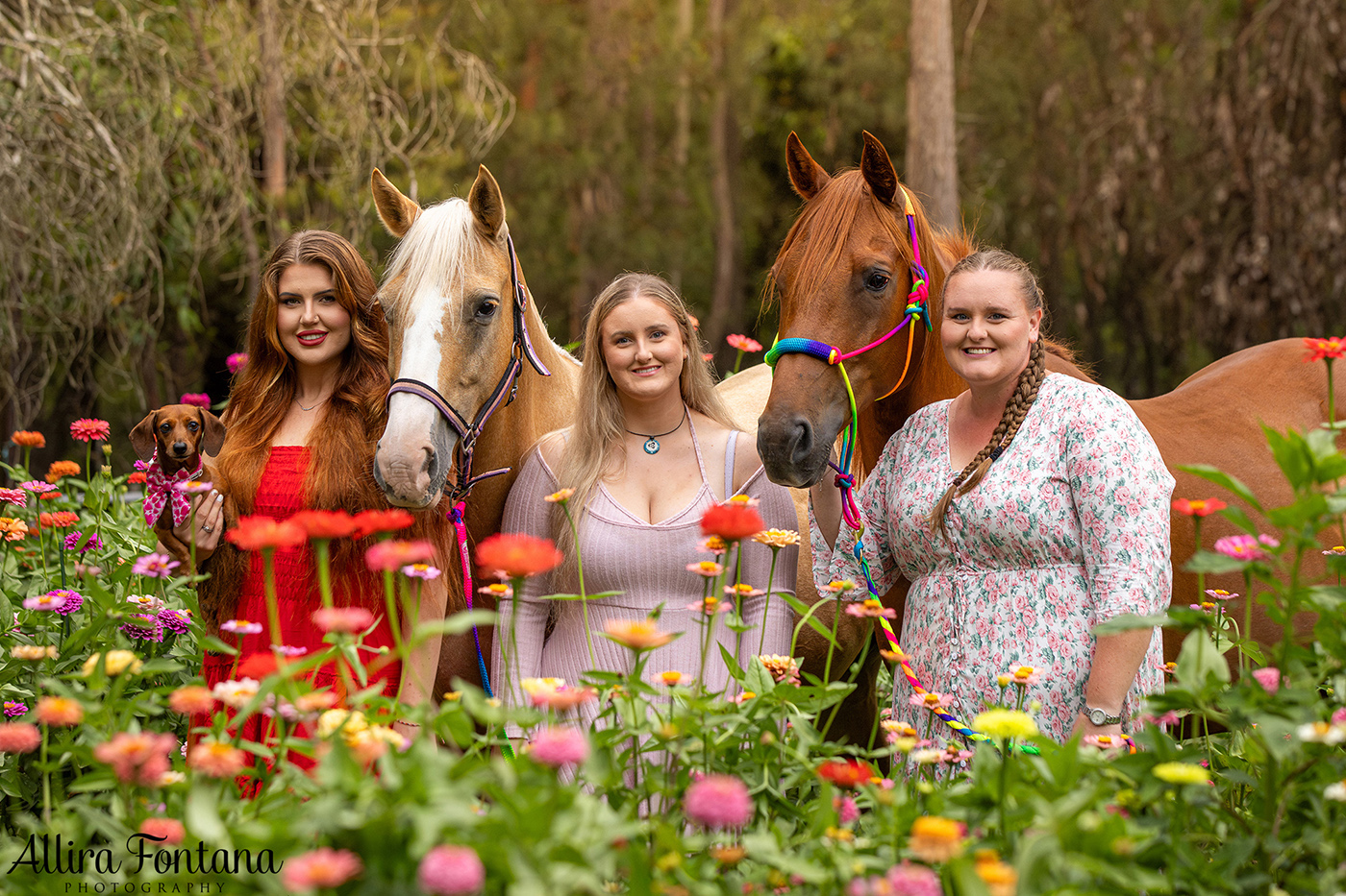 The Alsop family's sunflower photo session