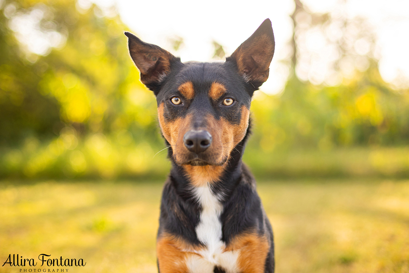 Janina, Ruby and Alfie's photo session at Macquarie Park