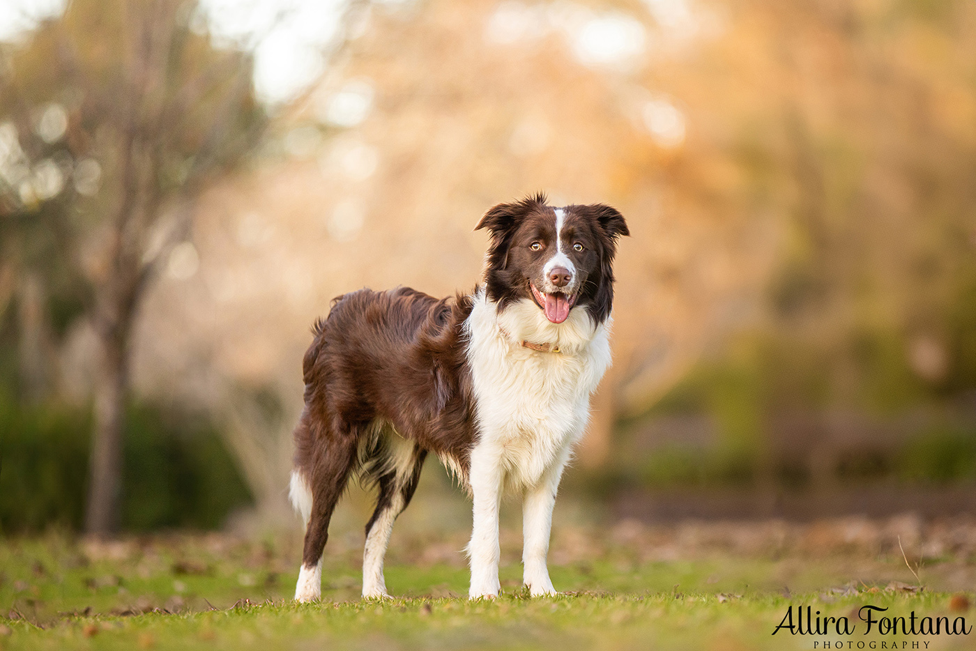 Dane, Maria and Jade's photo session at Fagan Park