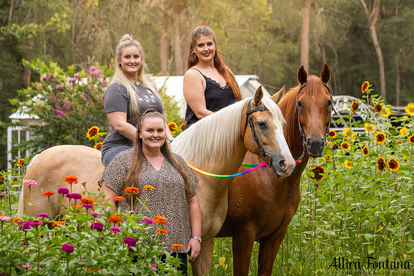 The Alsop family's sunflower photo session